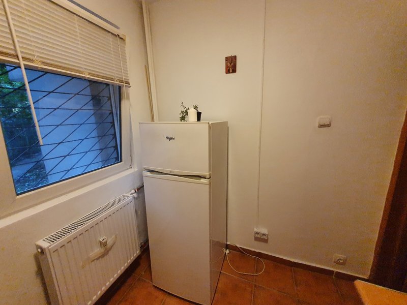 Arcul de Triumf, Nicolae Racota,